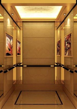 Passenger Elevator With Etching Stainless Steel Car Cabin
