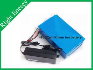 48V 12ah Lithium Ion Battery