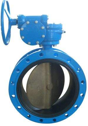 Double Flange Concentric Butterfly Valve