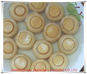 canned white button mushrooms