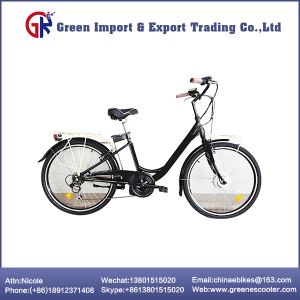 Adult Commuter Electric Bicycle