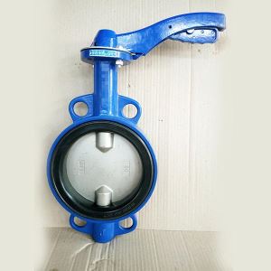 Wafer Type Soft-seated Butterfly Valve with Double Stem