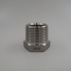SAE Stainless Pipe Thread Caps