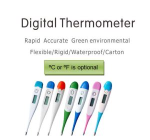 How To Choose The Right Electronic Thermometer.