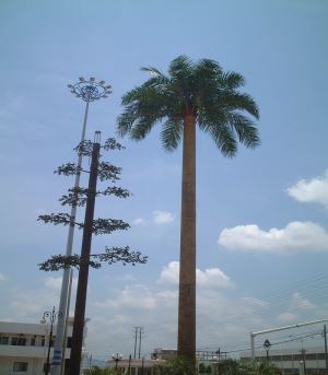 Camouflaged Palm Tree Towers