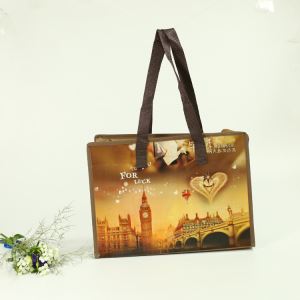 With Zipper Laminated Non Woven Bag Lunch Bag
