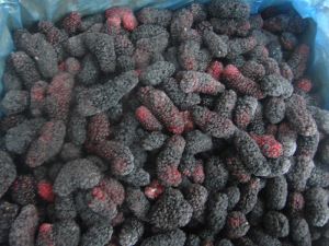 IQF Berries Frozen Mulberry