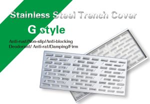 Plaza Stainless Steel Drain Cover
