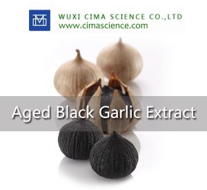 Aged Garlic Extract S-Allyl-L-Cysteine 1%