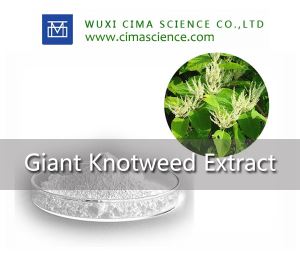 Anti aging Natural ingredients Giant Knotweed Extract