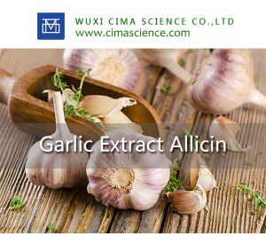 Antibacterial Garlic Extract 1% Allicin