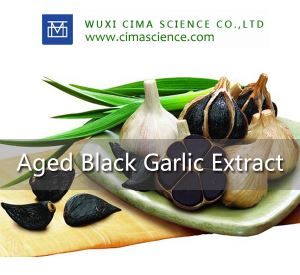 Natural Fermented Black Garlic Extract Powder