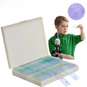 Series Prepared Microscope Glass Slides