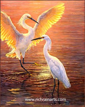 Crane Bird Animal Oil Painting
