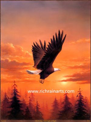 Eagle Animal Oil Painting
