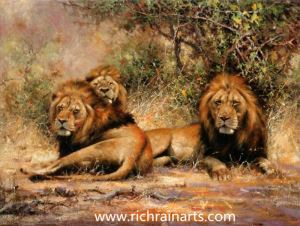 Group Animal Lion Oil Painting