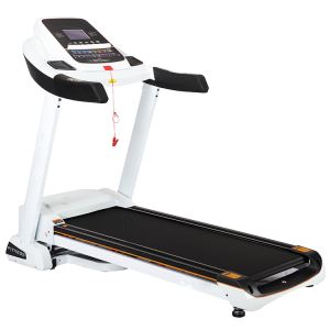 Treadmill High Weight Capacity