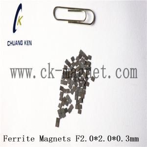 Block Sintered Ferrite Magnet F2.0*2.0*0.3mm