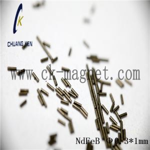 Disc NdFeB Magnet for Medicine
