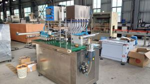 Automatic PVA Water Soluble Film Packaging Machine For Detergent
