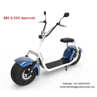 2 Wheel Electric Scooter with Seat