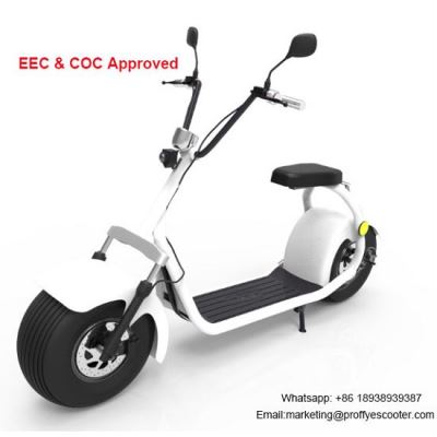 2 Wheel Lifestyle Electric Scooter