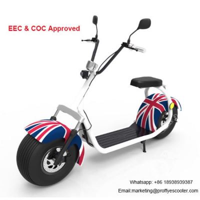 Freestyle 2 Wheel Electric Scooter