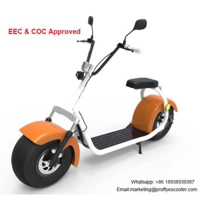 Freestyle Electric Scooter