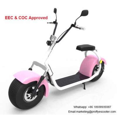 Modern 2 Wheel Electric Scooter