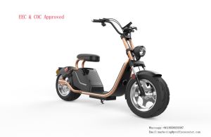 New Style Electric Scooter