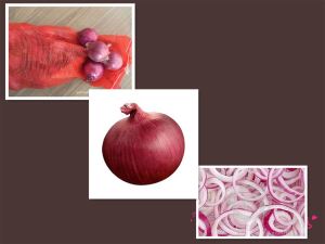 Fresh Red Onion in Mesh Bag