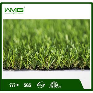 Artificial Grass for Supermarket