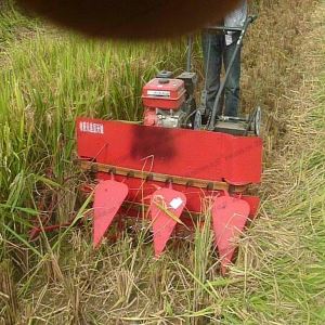 Mini-harvester for Wheat and Rice