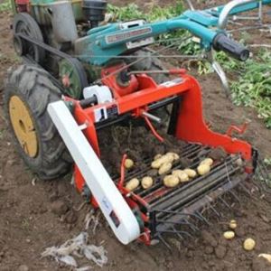 Potato Harvesting Machine