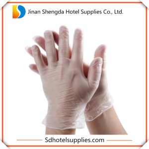 1g Disposable PE Gloves