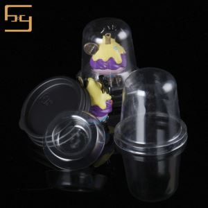 Plastic Transparent Tray for Sex Toy