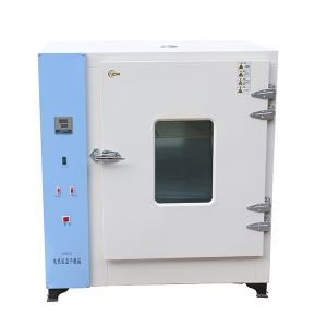Electric Constant Temperature Drying Box