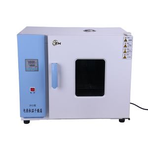 Lab Electric Constant Temperature Drying Oven