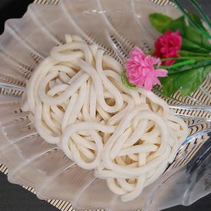 Fast Frozen Delicious Udon Noodles