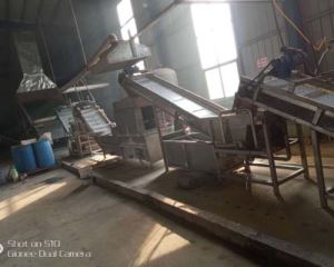 Fruit and Vegetable Slicing Machine