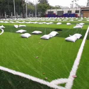 Long Warranty Sport Flooring Grass For Soccer Field Cricket Field
