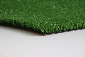 Rugby Grass