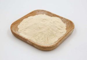 Beef Bone Broth Protein Powder 