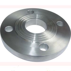304 Stainless Steel Pipe Fittings Flange