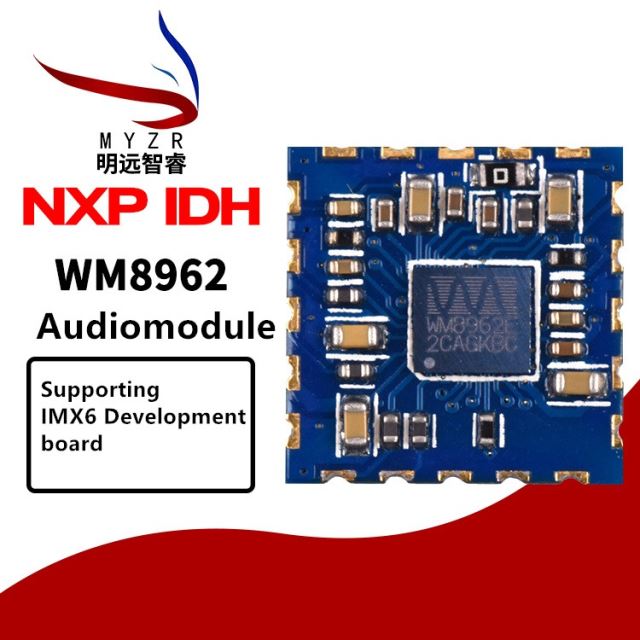 WM8962 Audio Module