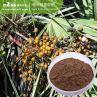 Saw Palmetto Berry Extract