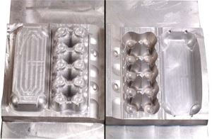10 Packs Egg Carton Molds