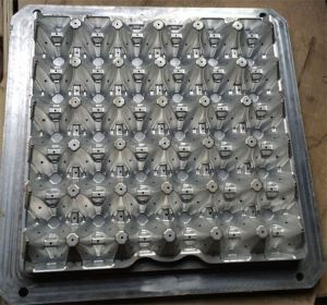 30 Cells Egg Tray Molds