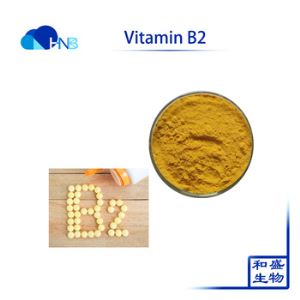 High Quality Vitamin B2 CAS.83-88-5