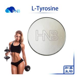 HNB Factory Supply High Quality L-Tyrosine Powder